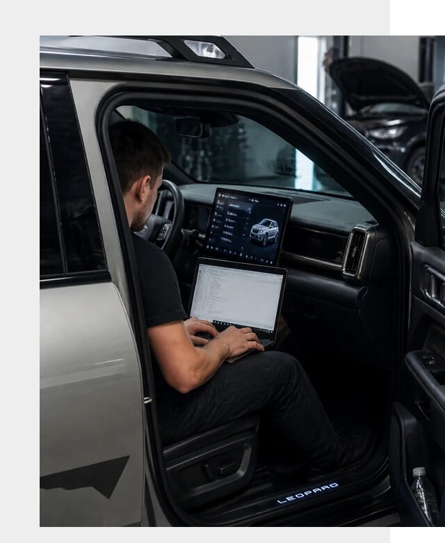 Русификация BYD Leopard 3 в Курске по цене от 20744 р. | ФастМобиль-Кус